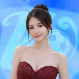 安装指南